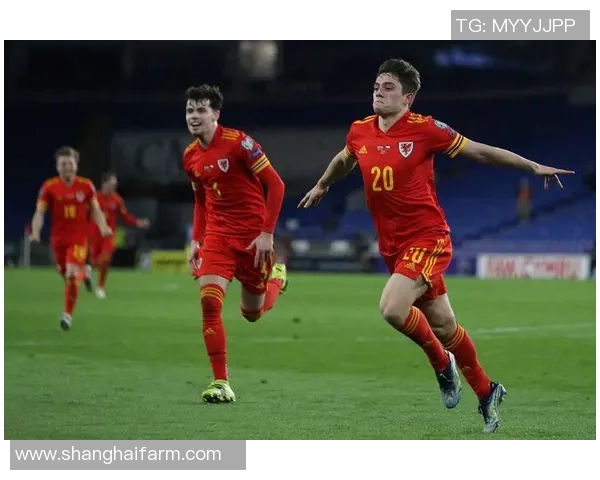 意大利与比利时对决前瞻分析及胜负预测详解